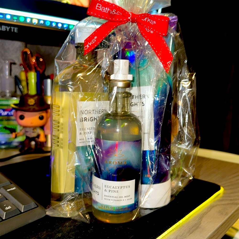 Bath & Body Works aromatherapy Northern Brights set